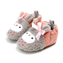 Load image into Gallery viewer, First Walkers Crib Shoes
