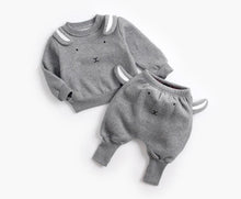 Load image into Gallery viewer, Pullover Sweatshirt Top + Pants Outfit