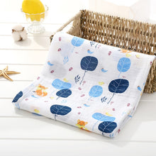 Load image into Gallery viewer, Swaddles Blanket
