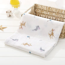 Load image into Gallery viewer, Swaddles Blanket