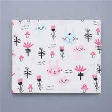 Load image into Gallery viewer, Swaddles Blanket