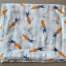 Load image into Gallery viewer, Swaddles Blanket
